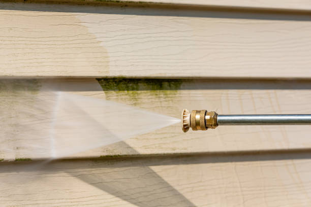 Best Pressure Washing Driveway  in Emmaus, PA